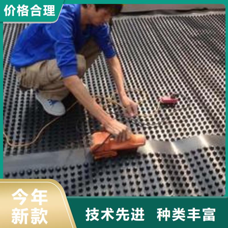 塑料排水板疏水排水