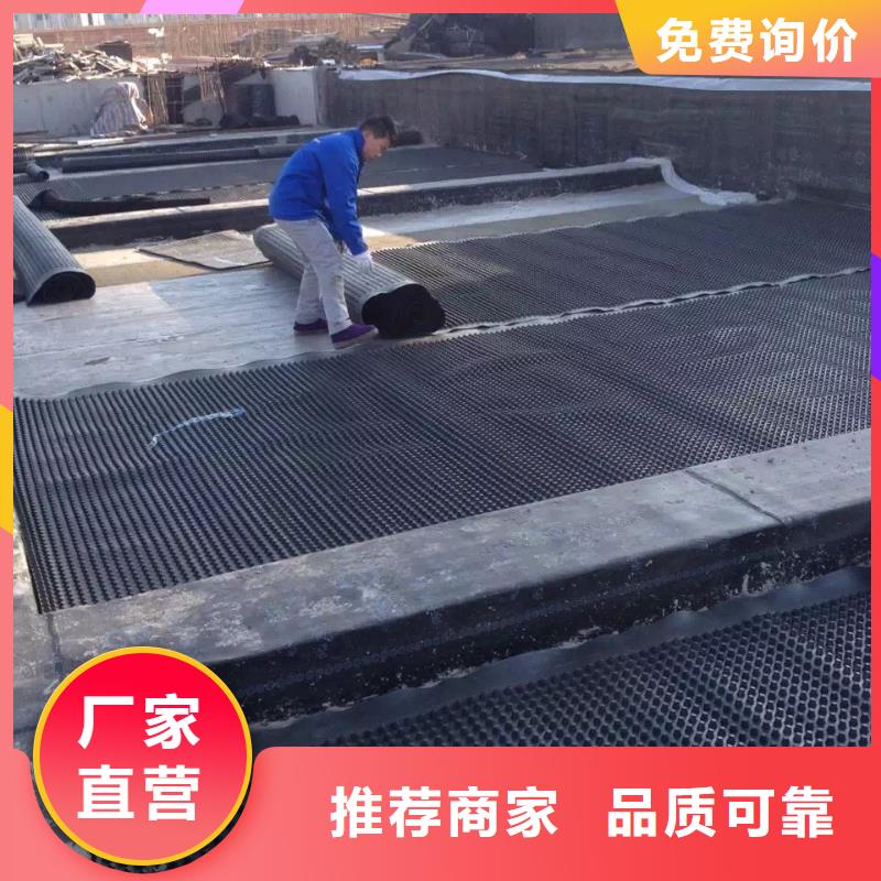 塑料排水板产品规格