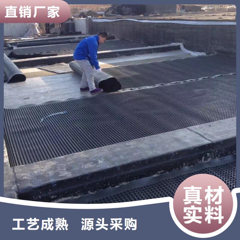 塑料排水板,钢塑土工格栅厂家拥有多家成功案例