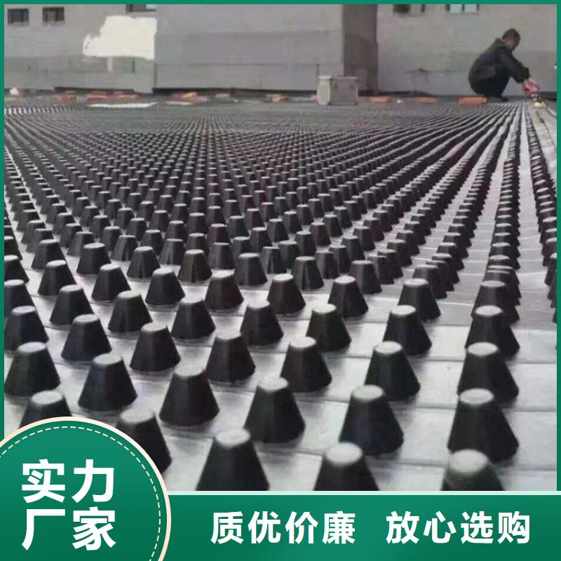 塑料排水板土工布送货上门