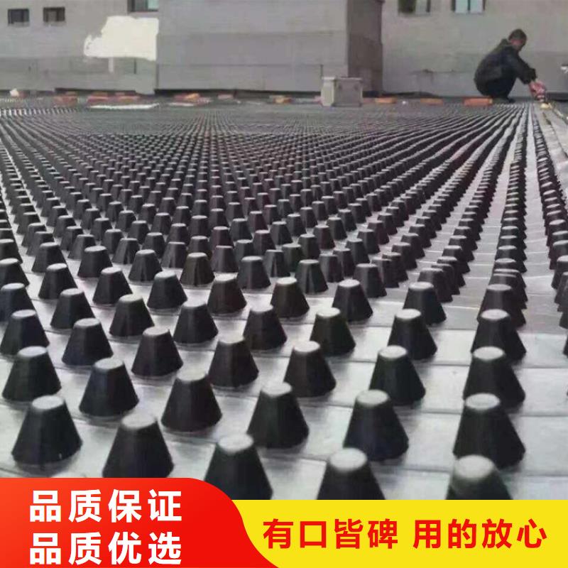 塑料排水板厂家