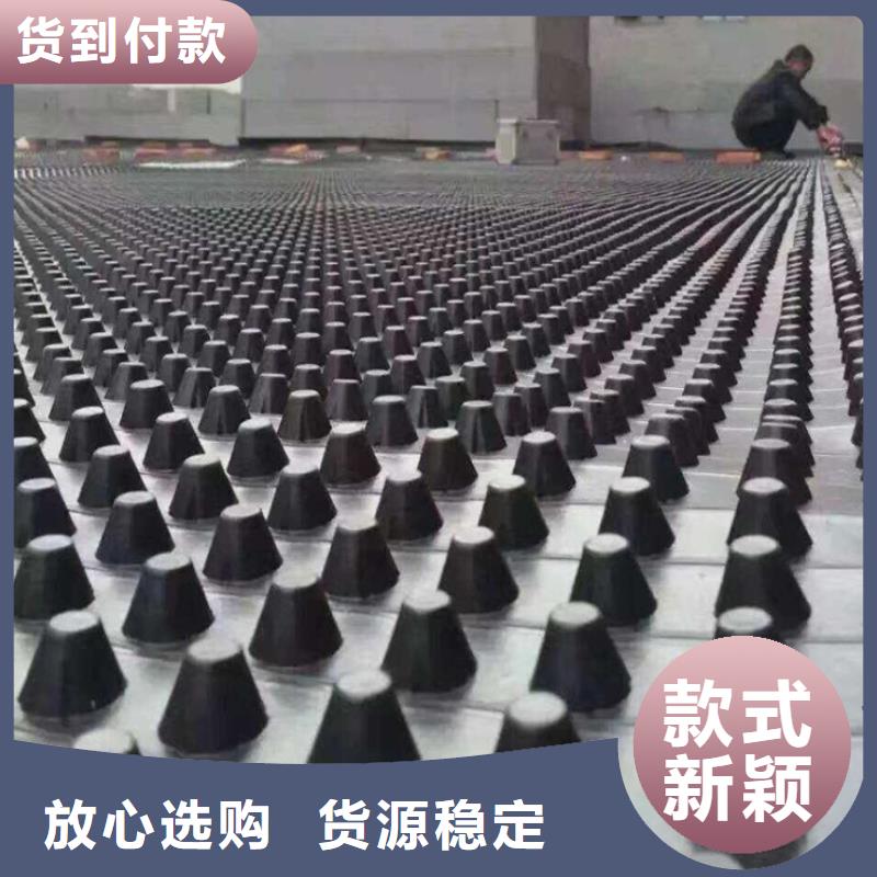 塑料排水板市场价格