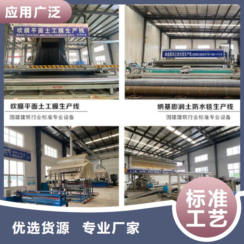 防水毯三维植被网厂家一站式供应厂家
