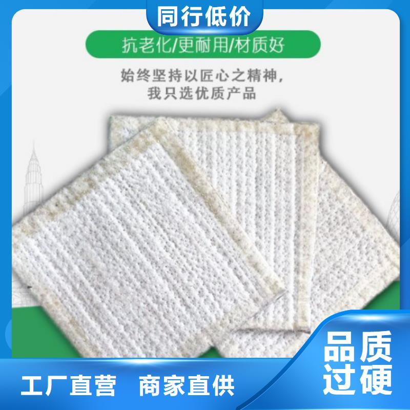 防水毯钢塑土工格栅厂家拒绝伪劣产品