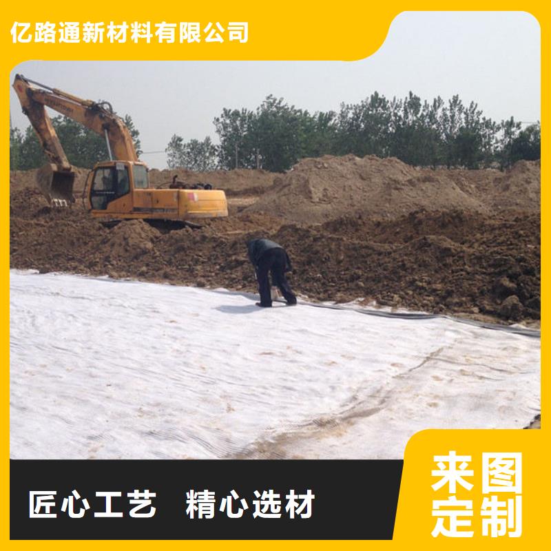防水毯钢塑土工格栅优质原料