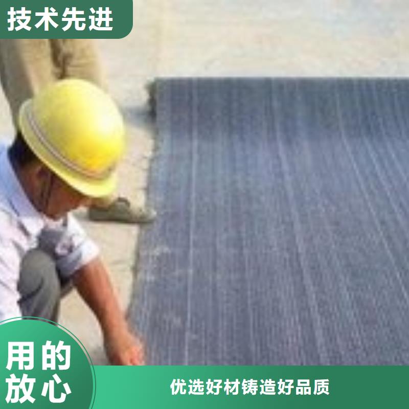 防水毯钢塑土工格栅厂家价格实惠