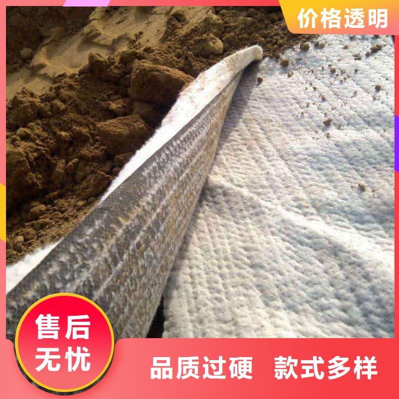 防水毯护坡土工网专业生产制造厂