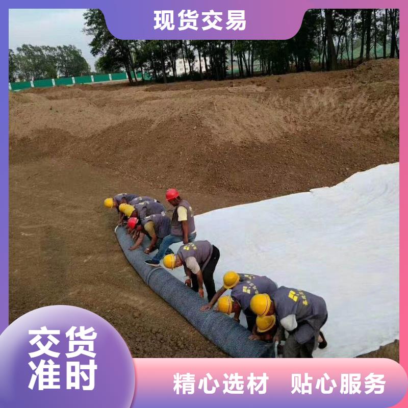 防水毯护坡土工网专业生产制造厂