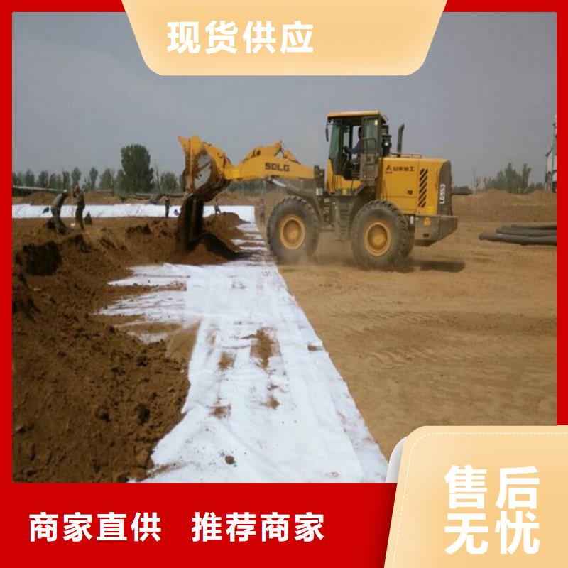 防水毯护坡土工网专业生产制造厂