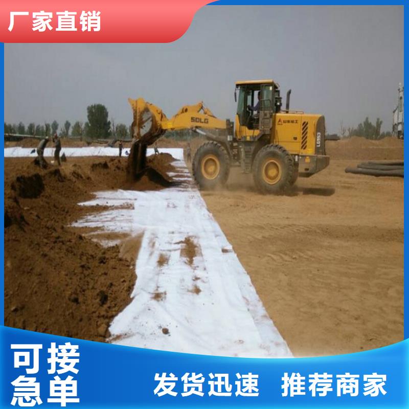 防水毯,聚丙烯双拉土工格栅厂家售后完善