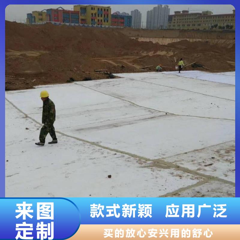 防水毯钢塑土工格栅优质原料