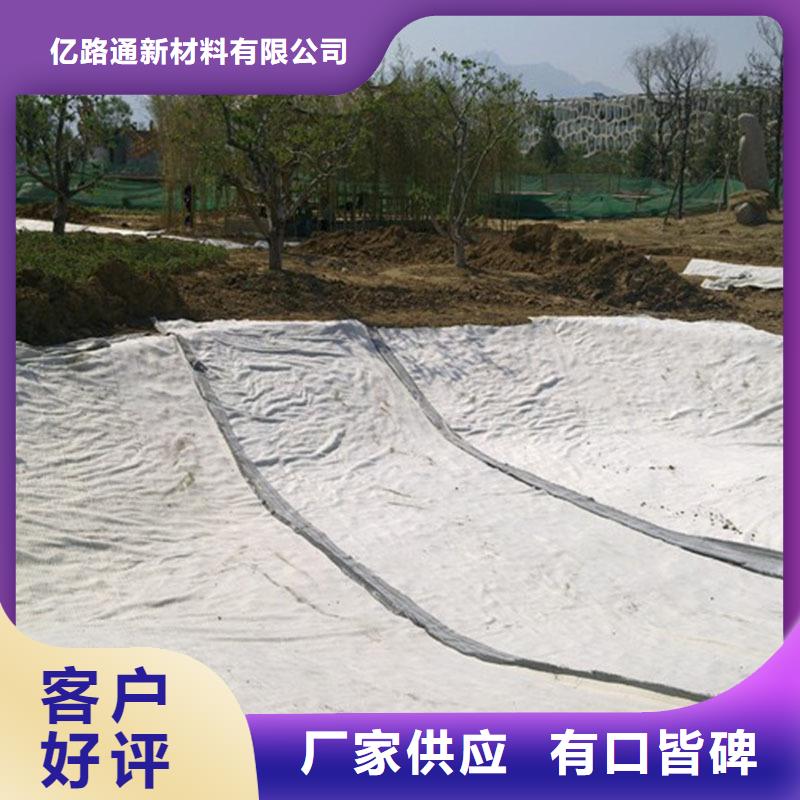 防水毯护坡土工网专业生产制造厂