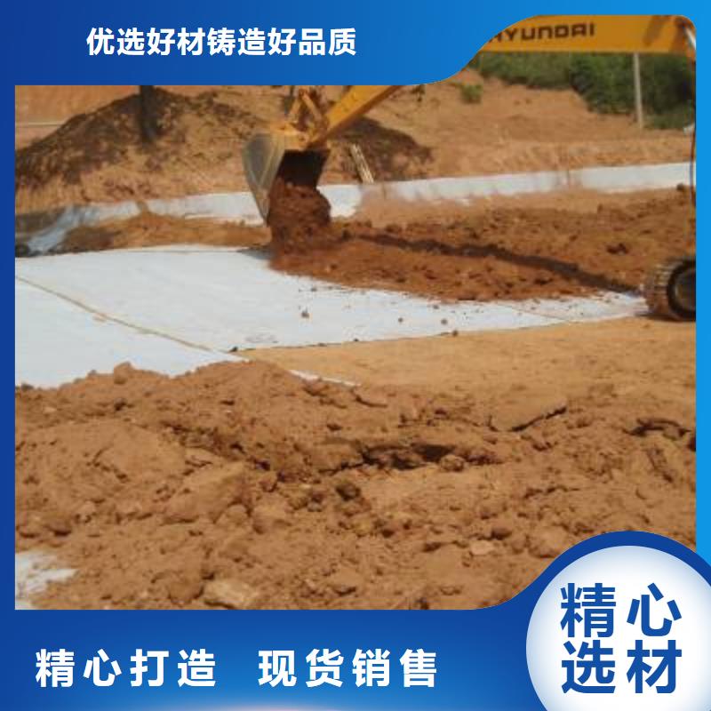 防水毯护坡土工网专业生产制造厂