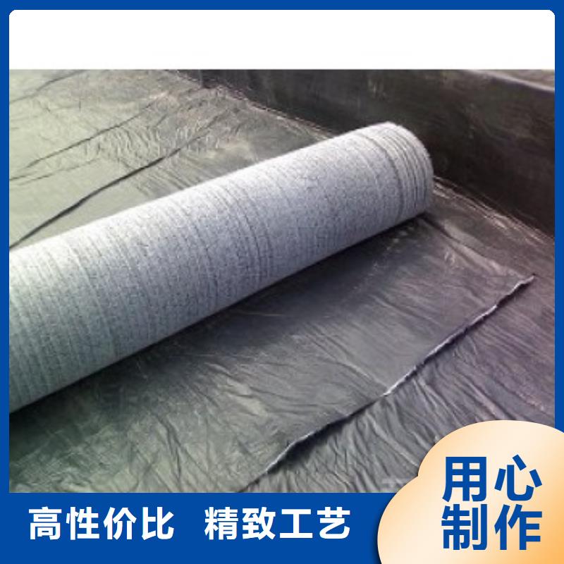 防水毯护坡土工网专业生产制造厂