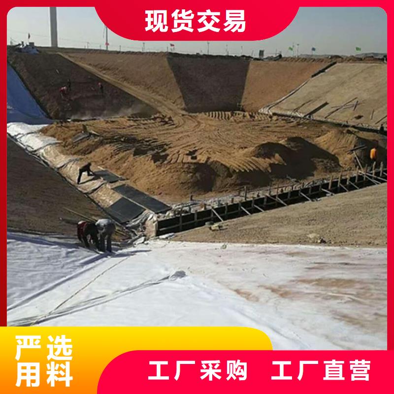 土工膜_复合防渗土工膜_hdpe防渗膜价格_鱼塘养殖防渗膜厂家
