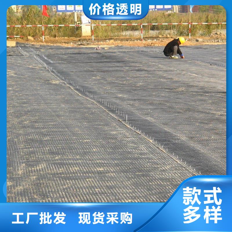 经编涤纶土工格栅厂家防渗反滤道路养护环保防尘