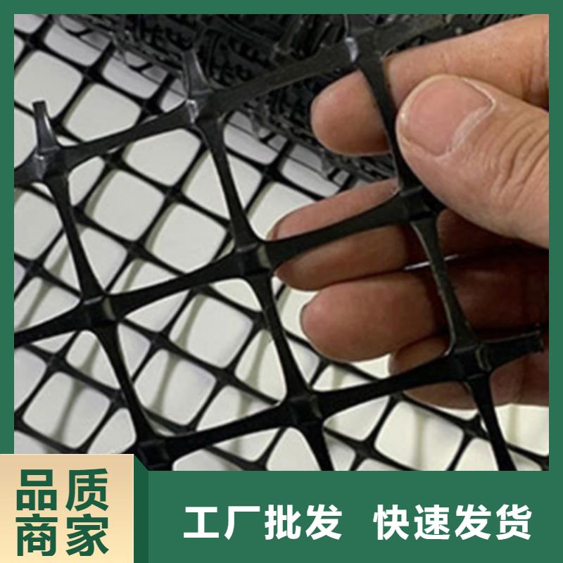 经编涤纶土工格栅厂家防渗反滤道路养护环保防尘