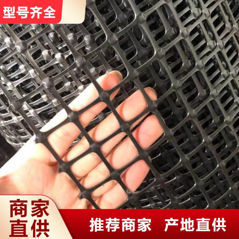 经编涤纶土工格栅厂家防渗反滤道路养护环保防尘