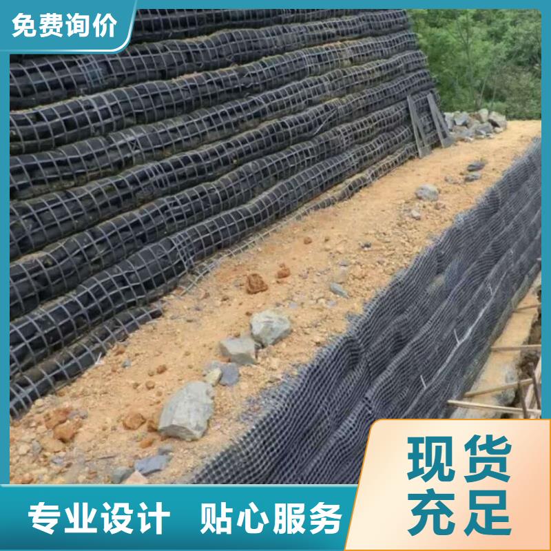 土工格栅钢塑土工格栅批发货源