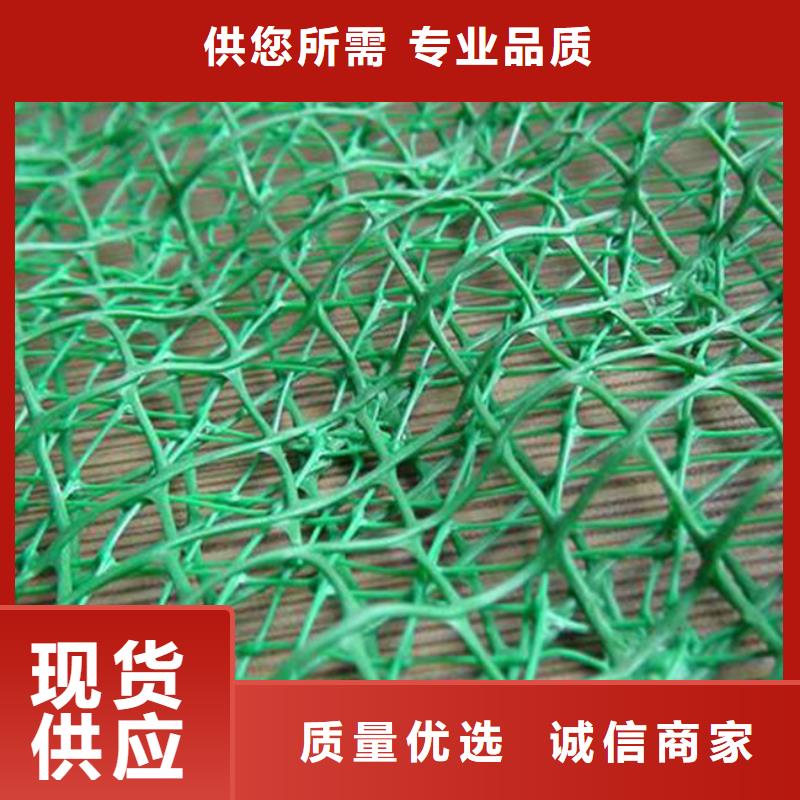 三维植被网-植被网-护坡网-厂家直销