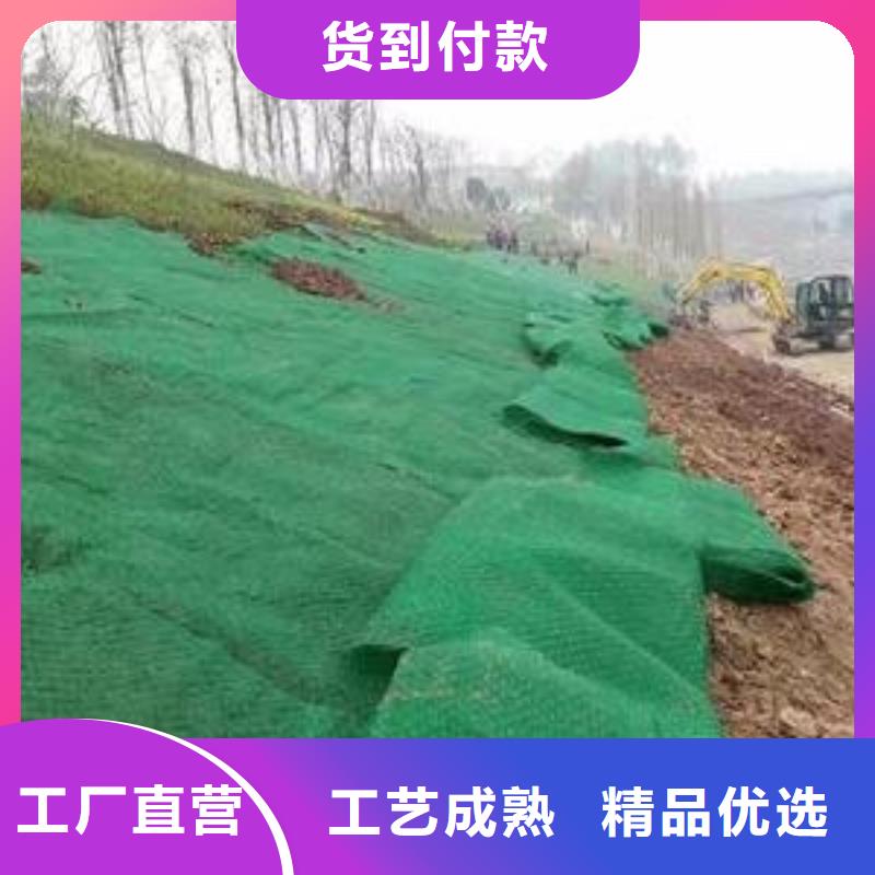 三维植被网-植被网-护坡绿化-价格