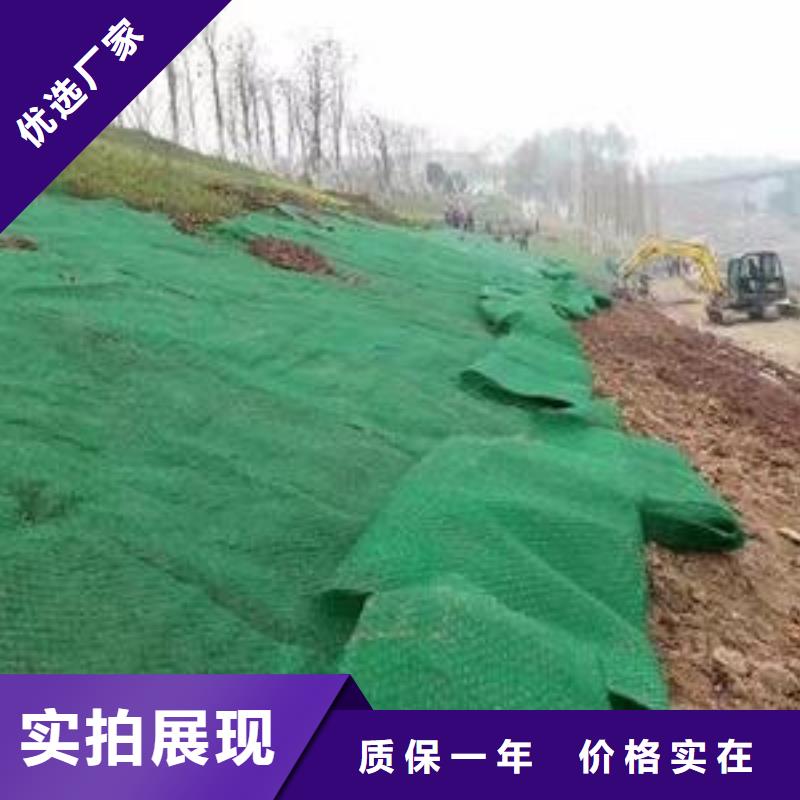 三维植被网,公路边坡植草绿化,三维土工网垫