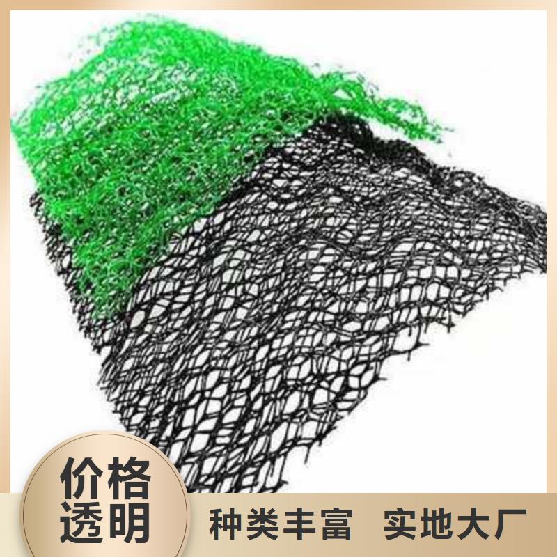 三维植被网,公路边坡植草绿化,三维土工网垫