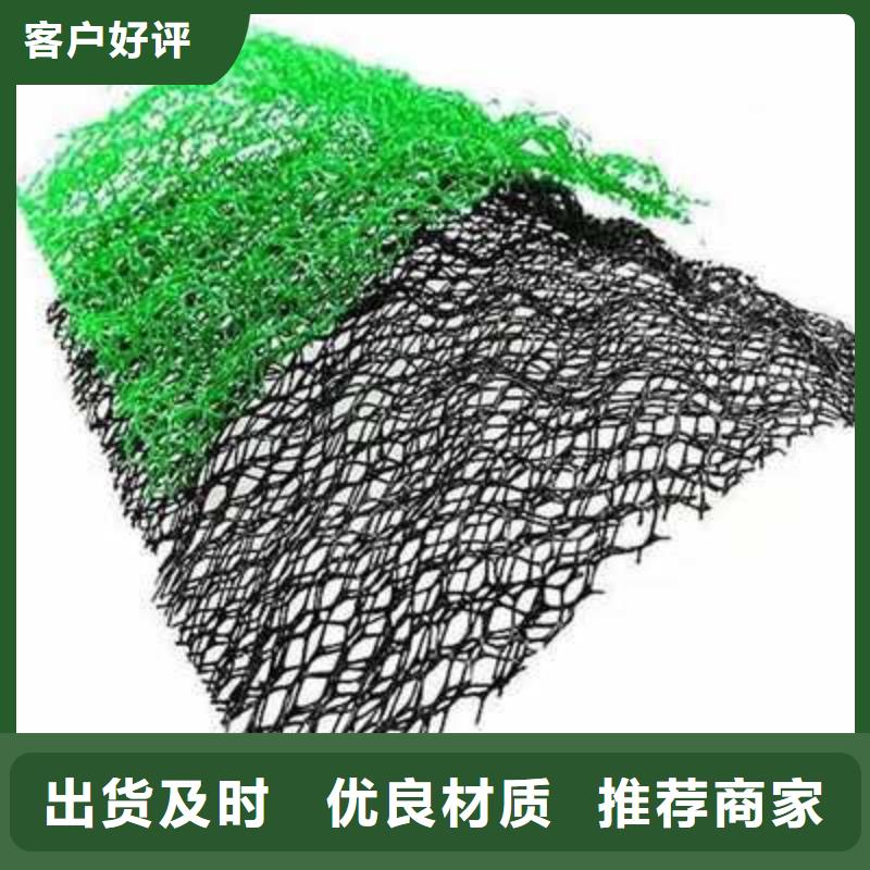 三维植被网-植被网-护坡网-厂家直销