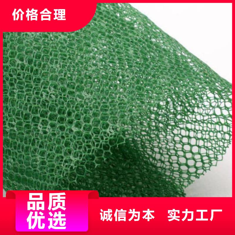 三维植被网-绿化网-价格低-发货快