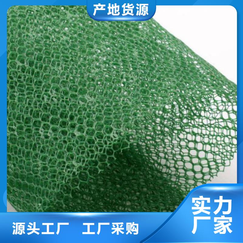 三维植被网_土工格栅_土工格网_植物支撑网–山东亿路通新材料有限公司