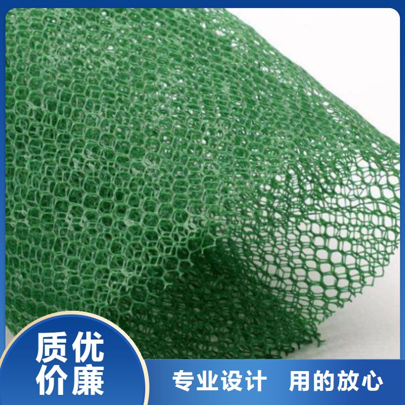 三维植被网-三维水土保护毯生产加工