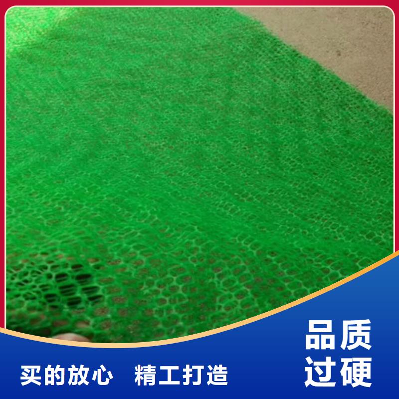 三维植被网,公路边坡植草绿化,三维土工网垫