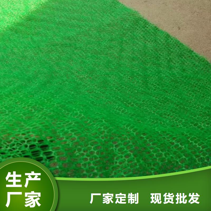 三维植被网,公路边坡植草绿化,三维土工网垫