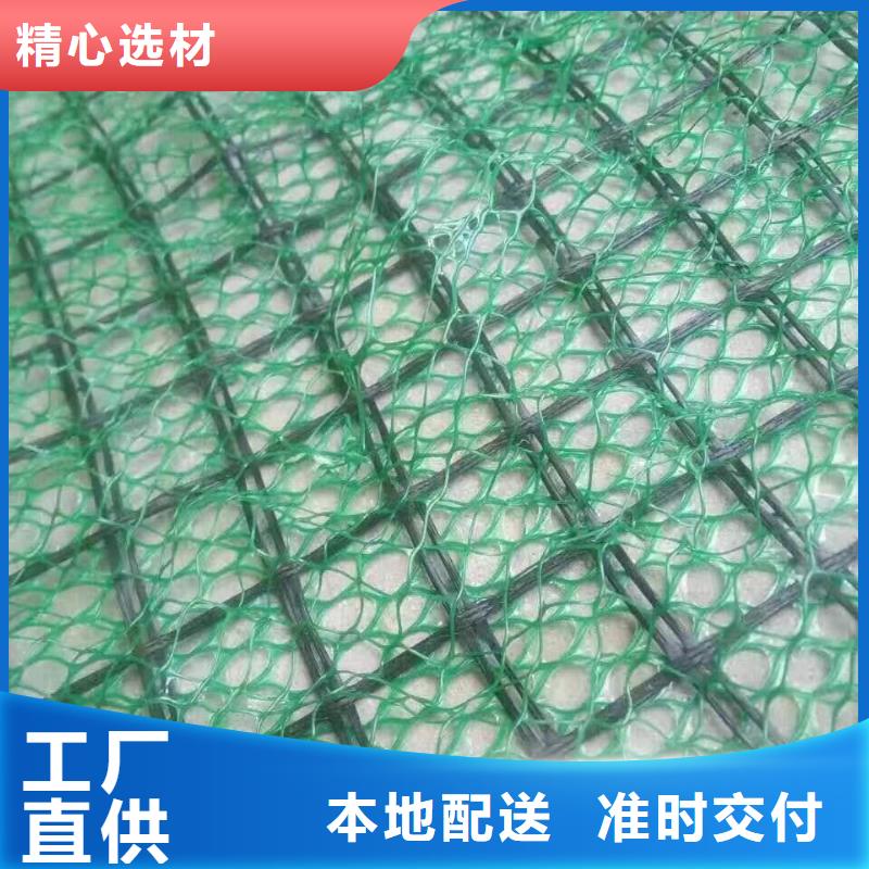 东方市三维植被网施工图片-可定制生产