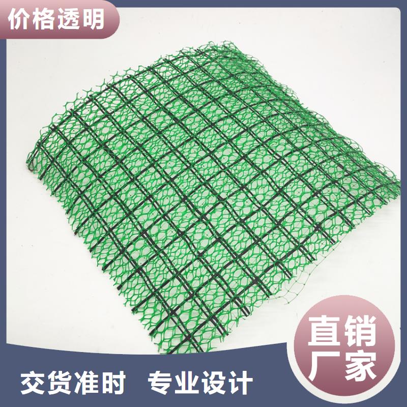三维植被网三维水土保护毯价格公道合理