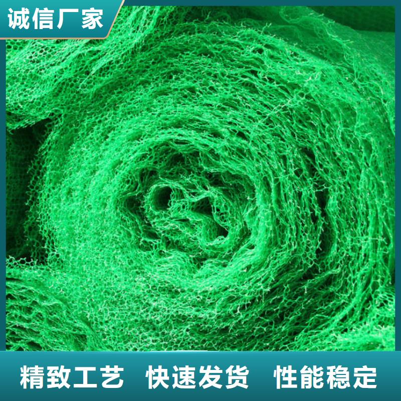 三维植被网HDPE土工膜实力公司