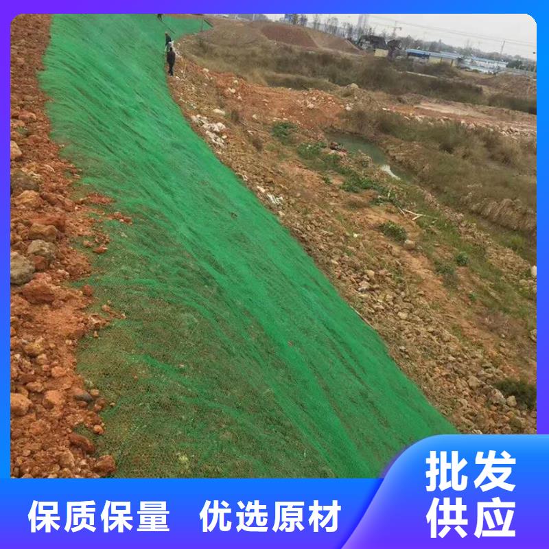 三维植被网-绿化网-价格低-发货快