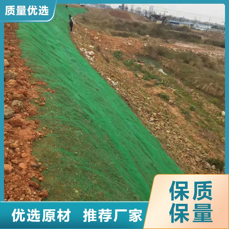 三维植被网钢塑土工格栅支持货到付清