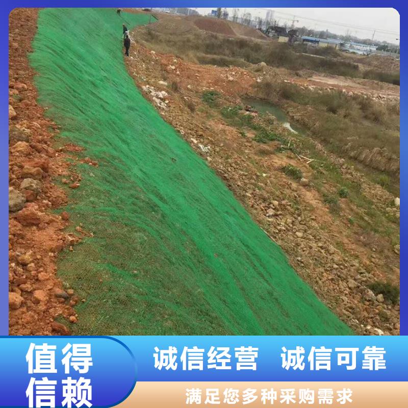 三维植被网_土工布精挑细选好货
