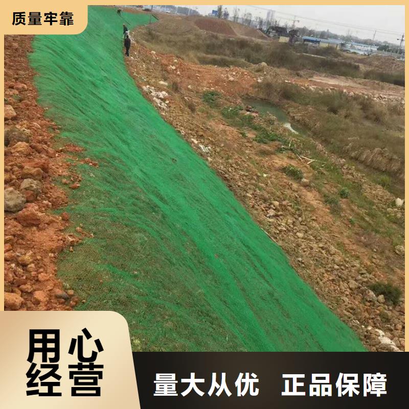 三维植被网三维水土保护毯价格公道合理