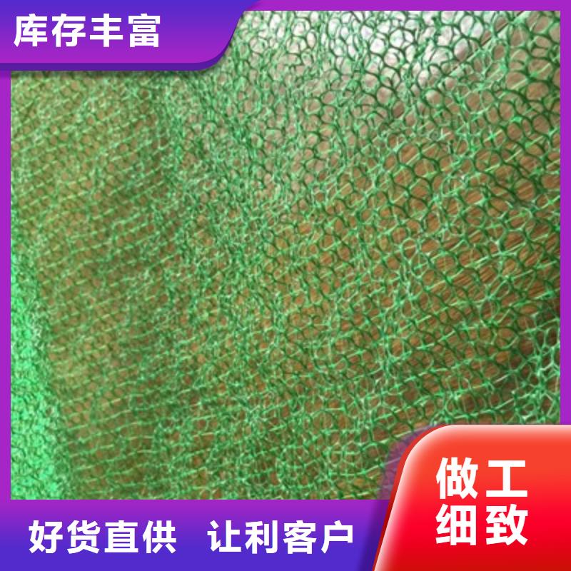 三维植被网-绿化网-价格低-发货快