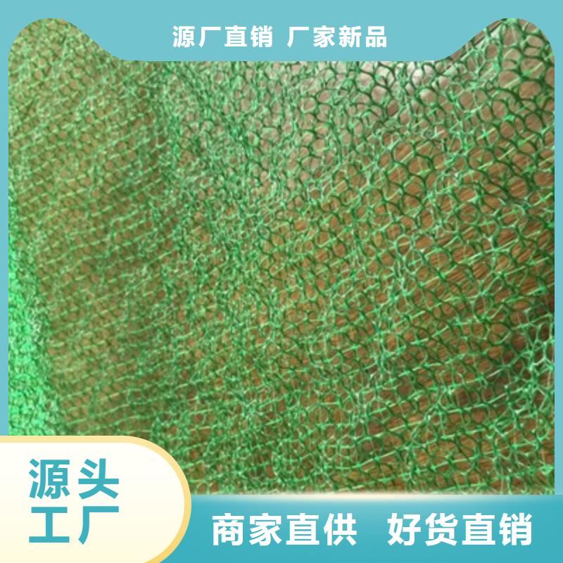 三维植被网硬式透水管采购