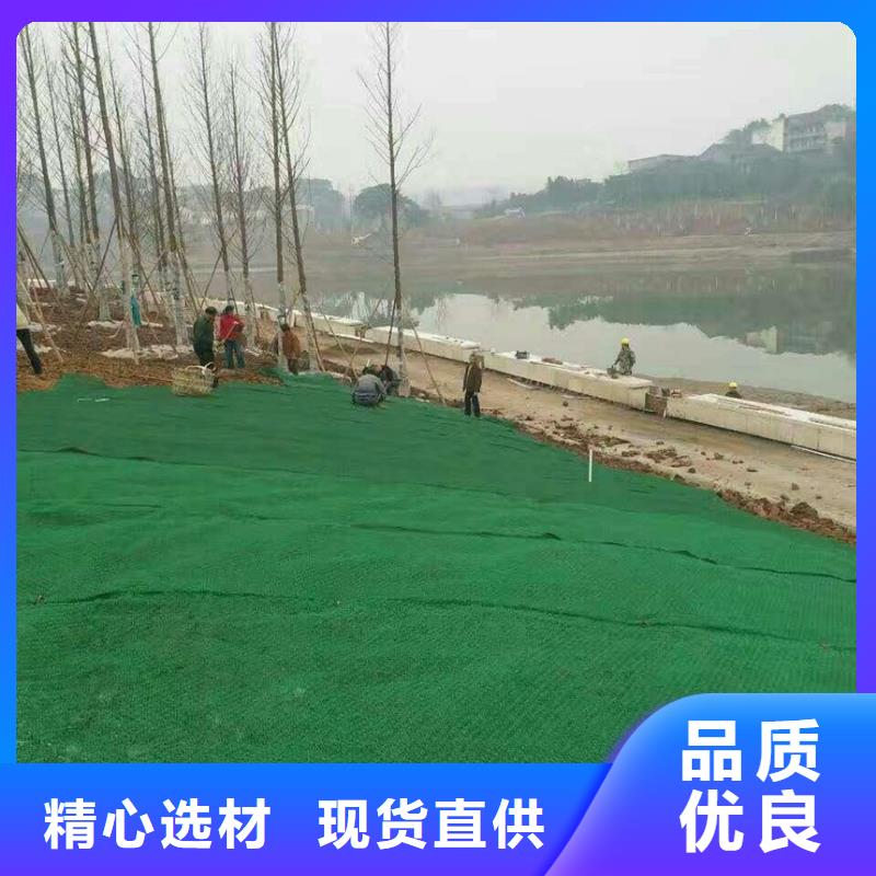三维植被网三维水土保护毯价格公道合理