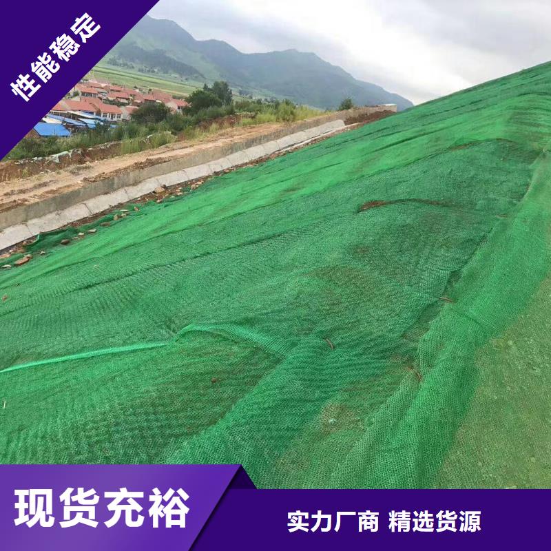 三维植被网复合土工膜品质保障价格合理