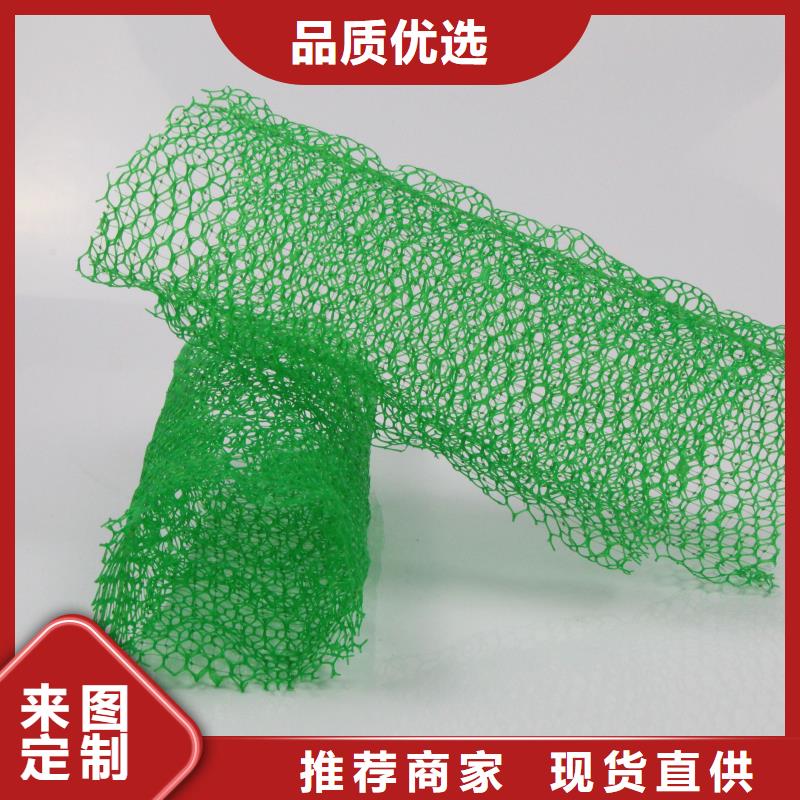 东方市三维植被网施工图片-可定制生产