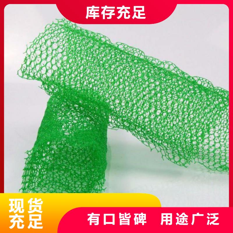 三维植被网防护-山东亿路通厂家直销