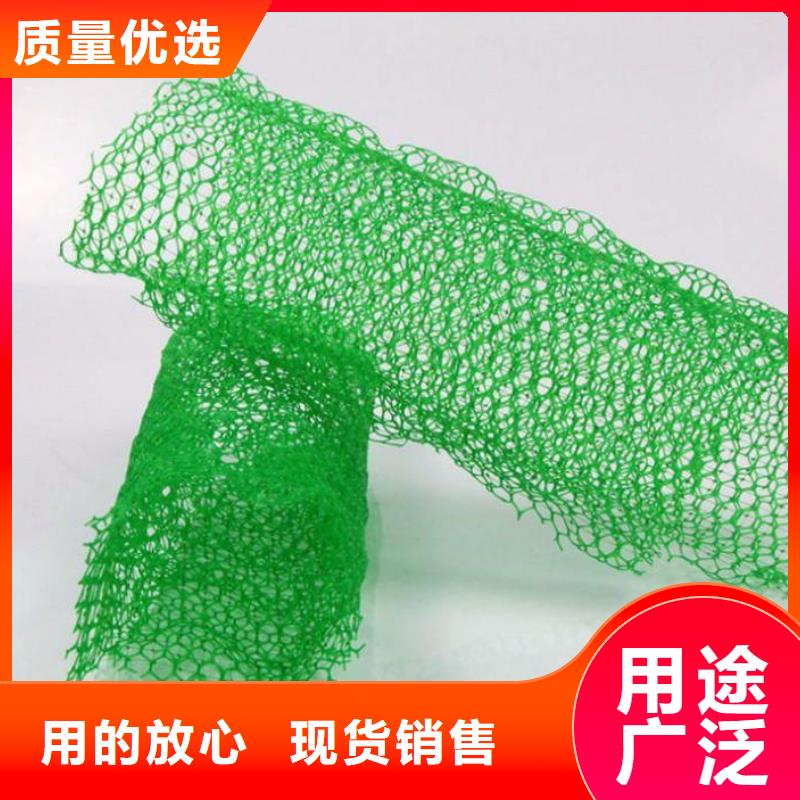 三维植被网-植被网-护坡网-厂家直销