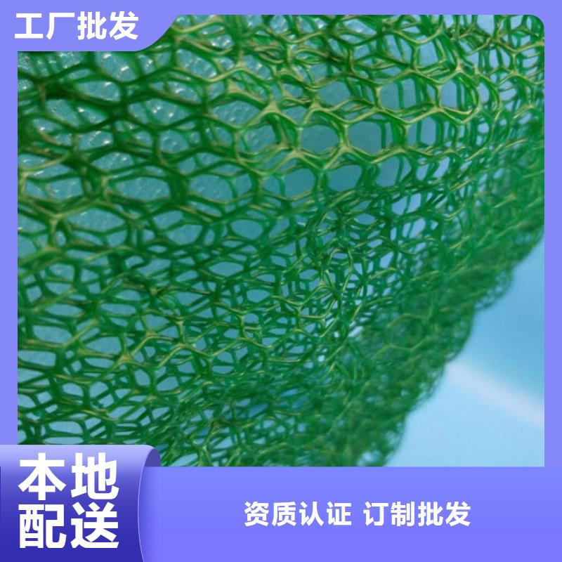 维植被网植草护坡施工方案三维植被网生产设备厂家_报价多少钱？