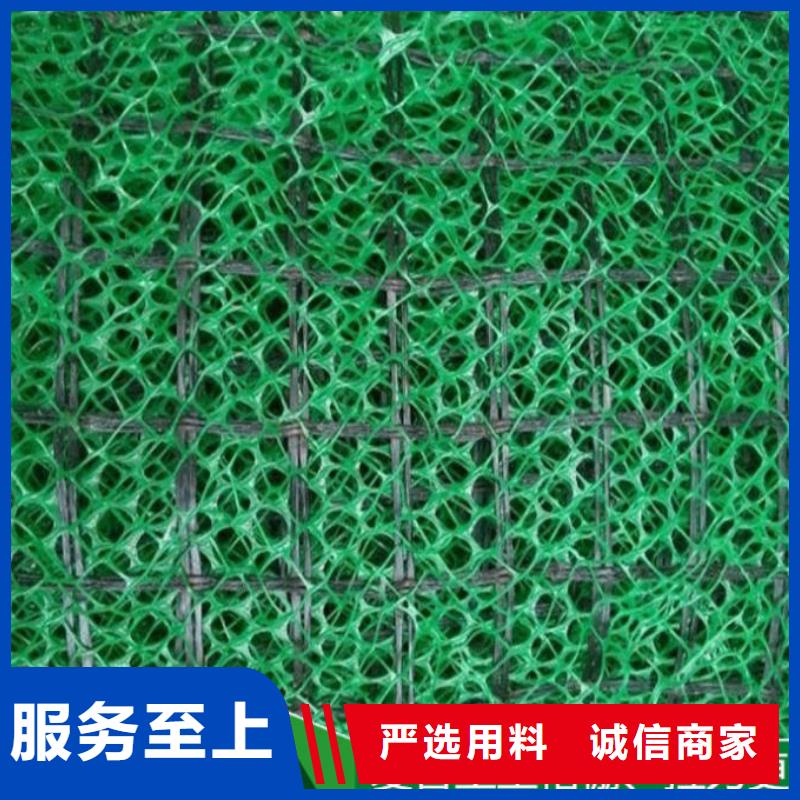 三维植被网防护-山东亿路通厂家直销