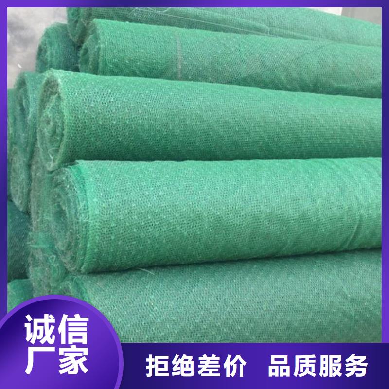 三维植被网复合土工膜品质保障价格合理
